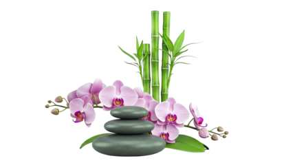 Zen spa arrangement with orchids, bamboo, and stacked stones