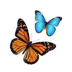 Fototapeta premium Two colorful butterflies on white background isolated on transparent background