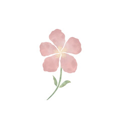 pink flower watercolor illustration isolated with transparent background 