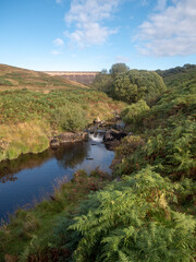 Fototapeta premium River Avon in Dartmoor, wide angle shot of Avon Dam