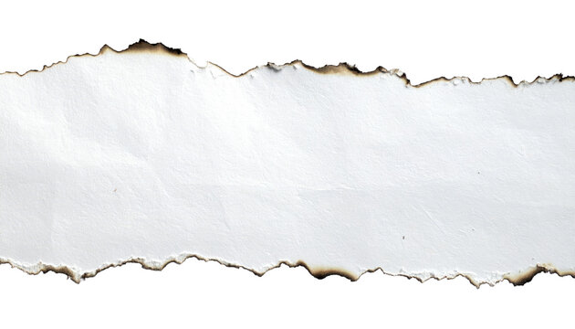 Burnt Paper Strip: A charred paper strip, edged with singed fragments, revealing a glimpse of the texture of the material, evoking a sense of history.