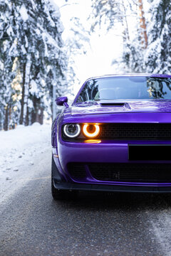 Purple Dodge Challenger SRT muscle car parked in a winter forest landscape. Powerful American sports car with aggressive design, snowy background and dramatic contrast. 