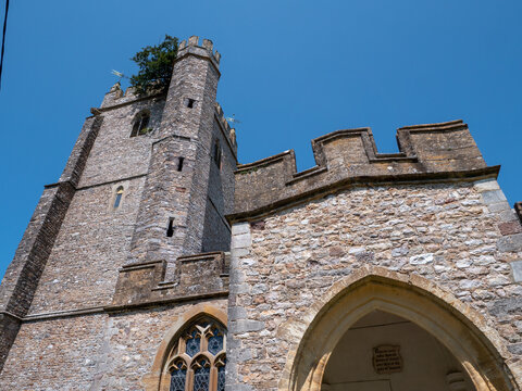 All Saints Church in Culmstock, Devon, famous for its shrub growing from the tower as featured in Perlycross a book by R D Blackmore of Lorna Doone fame.