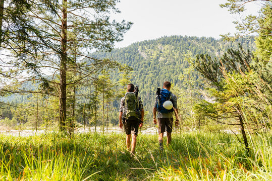 Brothers hiking in summer forest with backpacks during vacation