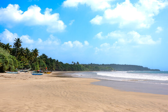 Tropical Mawella Beach with fishing boats and palm trees on the south coast of Sri Lanka