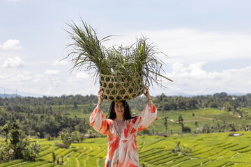 European woman carrying traditional woven baskets filled with fresh grass, walking through lush green rice fields in rural Bali.