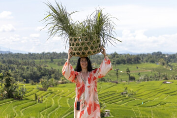 European woman carrying traditional woven baskets filled with fresh grass, walking through lush green rice fields in rural Bali.