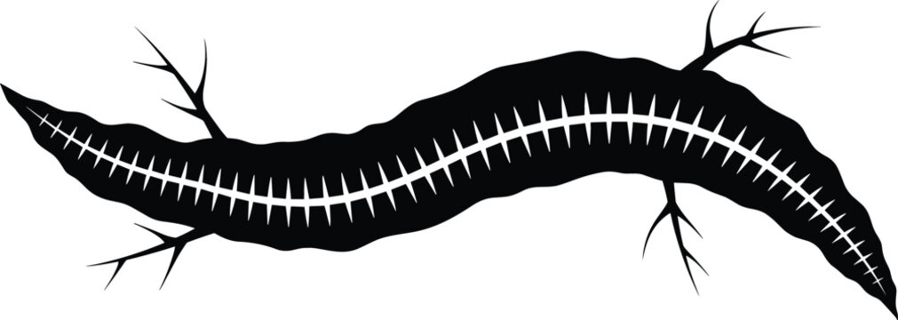 Abstract black silhouette of an organic root or ground crack with branch offshoots for grungy texture and botanical design