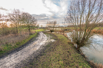 Muddy path in a Dutch nature reserve. Along the path are a narrow lake and bare trees. The photo was taken at the end of a sunny, windless winter day.