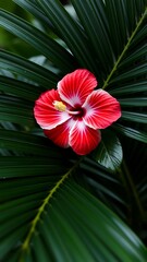 Hibiscus Flower Palm Leaf Tropical Floral Style