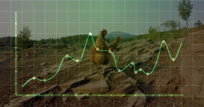 Brown hen being tracked by green line graph over rocky farm ground with grid overlay