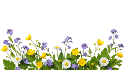 A vibrant arrangement of colorful flowers against a black background