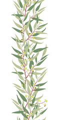 Obraz premium Eucalyptus vertical seamless border vector