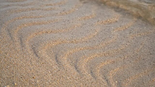 Ripples of water on sandy beach create abstract patterns Tiny shells glint under soft sunlight A peaceful natural design