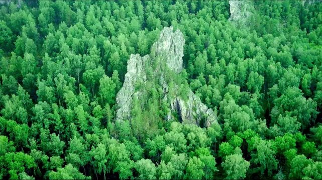 Bird's eye view of green forest and rocks.