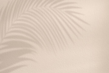 Beige concrete wall texture with tropical palm leaf shadow and copy space for mockup