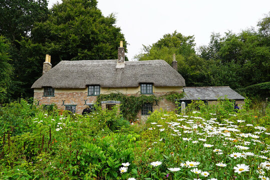 A cob and thatch building, surrounded by cottage gardens in Higher Bockhampton, Dorset, the birthplace of the English author Thomas Hardy.