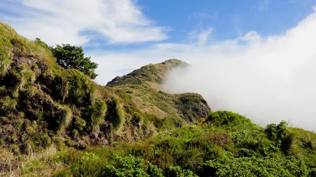 Route through the fog-covered Pico da Vara in Sao Miguel, Azores