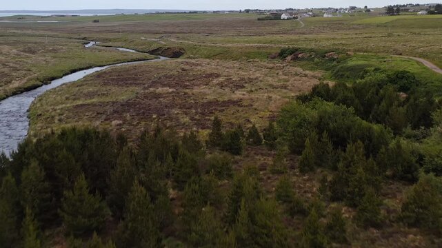Drone shot tilting from Gress river and the village of Back to a pine forest.