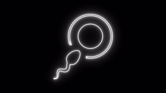 Sperm neon icon 4K video animation	