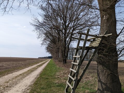 Feldweg zum Bocksberg mit Hochsitz, Landkreis Stade, Norddeutschland