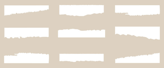 Torn Paper Sheets and Strips Set Vector Illustration