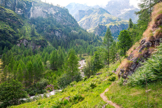 Panorama along the path in the Alta Valsesia Natural Park in summer. Trekking in the mountains. View of the peaks, meadows, threes and woods. Italian Alp. Alagna Valsesia. Piedmont. Alps Italy