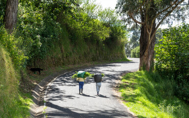 Obraz premium contadini con sacco in spalla che lavorano