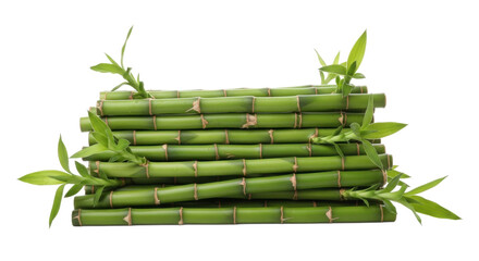 Freshly cut green bamboo stalks stacked horizontally with new shoots and vibrant leaves