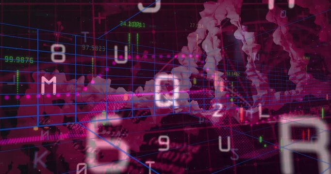 Three-dimensional blue grid showing floating numeric and pink-dotted plots tracing twisting helix