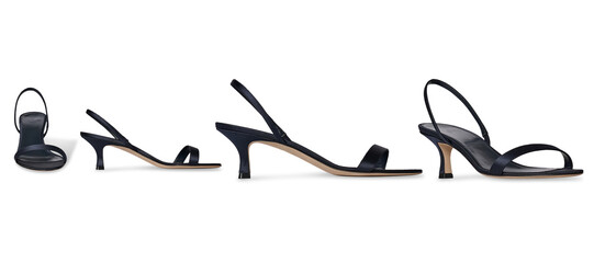 A Set Of Women Stylish high heel shoe with strap, transparent background, This fashion-forward women’s footwear features a pointed toe and ultra-thin heel	 all side view