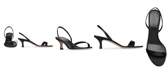 A Set Of Women's Stylish high heel shoe with strap, transparent background, This fashion-forward women’s footwear features a pointed toe and ultra-thin heel	 all side view