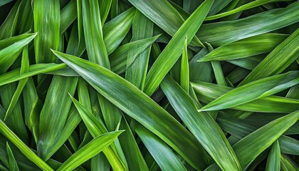 Obraz premium Vibrant Lush Green Grass Blades Background Texture for Nature Inspired Designs and Aesthetic Appeal