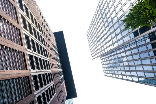 Frankfurt Germany finance business corporate skyscraper architecture office modern downtown view between highrises with copy space and tree leaves above