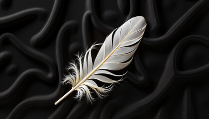 Delicate white feather on luxurious black velvet background, elegance