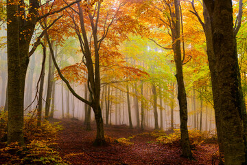 Autunno ai Prati di tivo