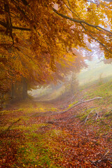 Autunno ai Prati di tivo