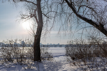 Snow-covered riverbank with bare tree branches in the foreground and a large city skyline across a wide frozen river. Bright winter day with sunlight, icy surface and calm urban winter landscape