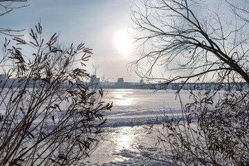 Snow-covered riverbank with bare tree branches in the foreground and a large city skyline across a wide frozen river. Bright winter day with sunlight, icy surface and calm urban winter landscape