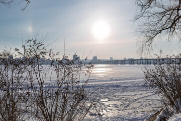 Snow-covered riverbank with bare tree branches in the foreground and a large city skyline across a wide frozen river. Bright winter day with sunlight, icy surface and calm urban winter landscape