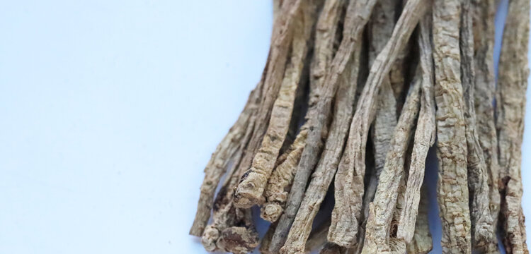 Dried brown Codonopsis root sticks used in Chinese herbal medicine.