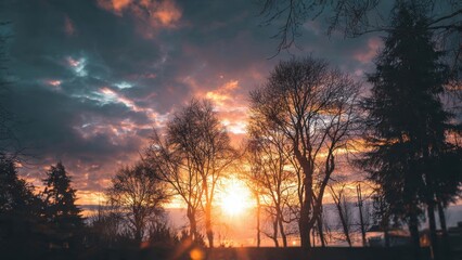 Dramatic sunset through silhouetted trees