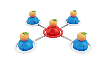 Network Connection with Peaches