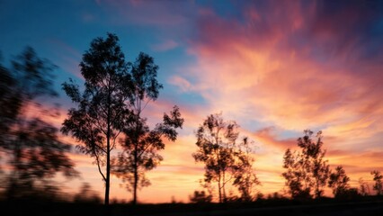 Vibrant Sunset with Silhouetted Trees
