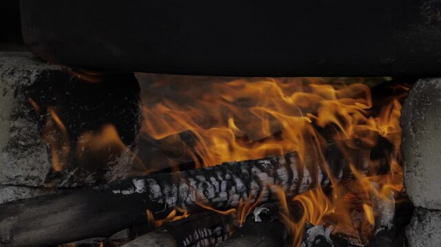 Burning Bright  The Ultimate Guide to Fire