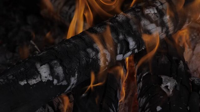 Burning Bright  The Heart of Fire