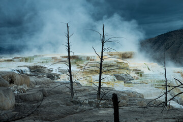 Geyser at Yellowstone park in Autumn 