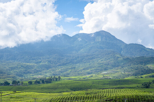 Mount Talang landscape with lush green farmland and rolling hills under dramatic clouds. Volcanic mountain scenery showcasing fertile highland environment and rural agriculture in West Sumatra, Indone