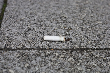 Cigarette butts on the pavement.