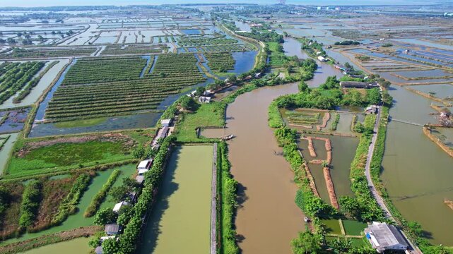 Aerial drone footage of a main brown river, with green vegetations and many natural fish farms around, nearby the sea, local houses, in Domas, Serang regency, Java island, Indonesia